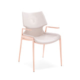 [Dining Chair] rose gold frame + saddle leather & PU , Hotel banquet with armchair dining chairs