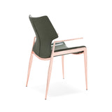 [Dining Chair] rose gold frame + saddle leather & PU , Hotel banquet with armchair dining chairs